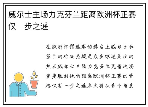 威尔士主场力克芬兰距离欧洲杯正赛仅一步之遥